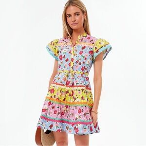 CeliaB Yellow and Pink Ruffled Tiered dress